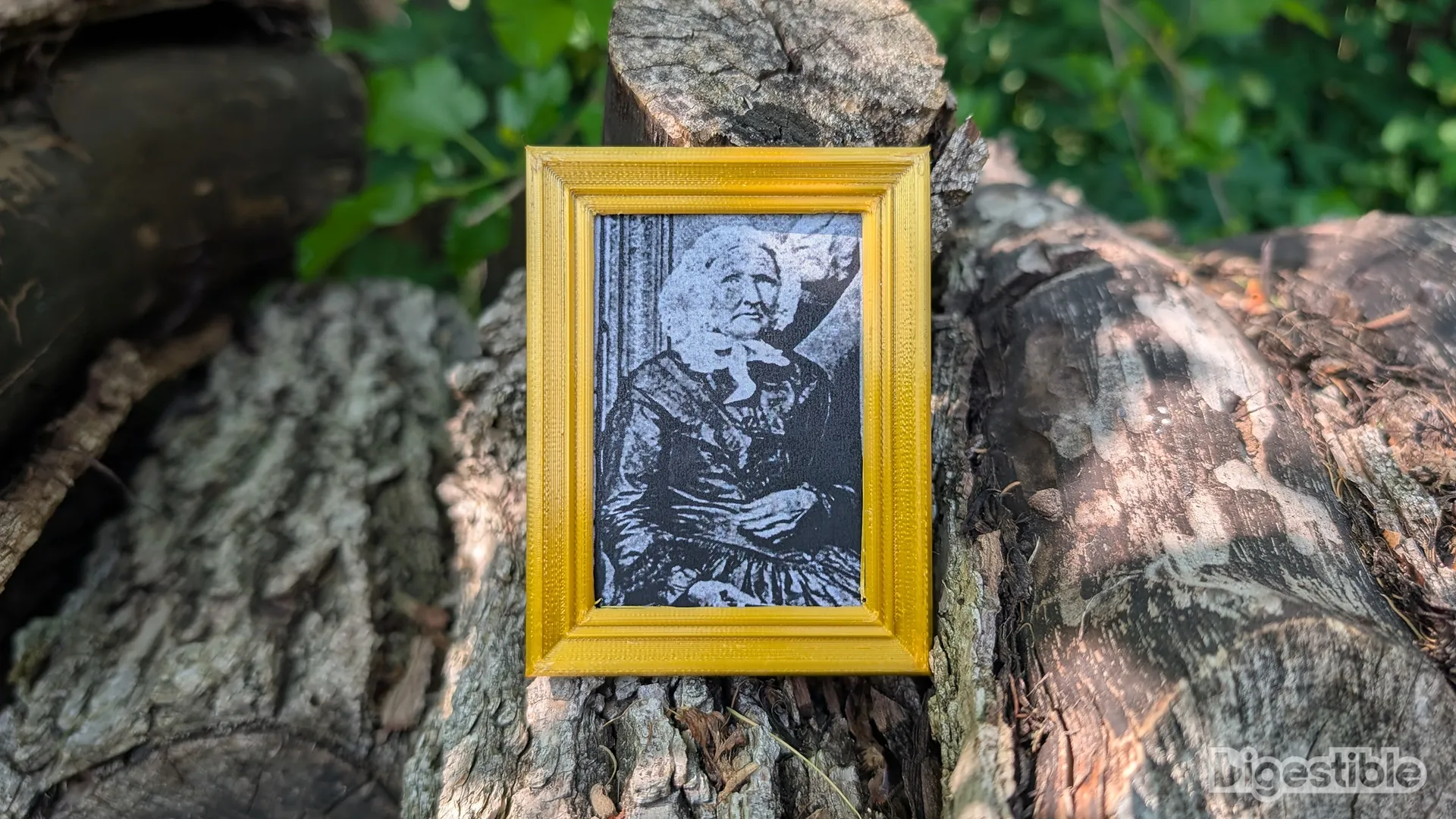 A mini framed photo of Granny Smith.