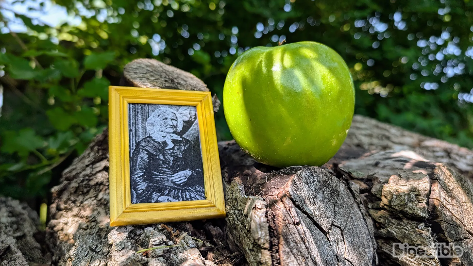 A Granny Smith Apple next to a mini framed photo of Granny Smith.