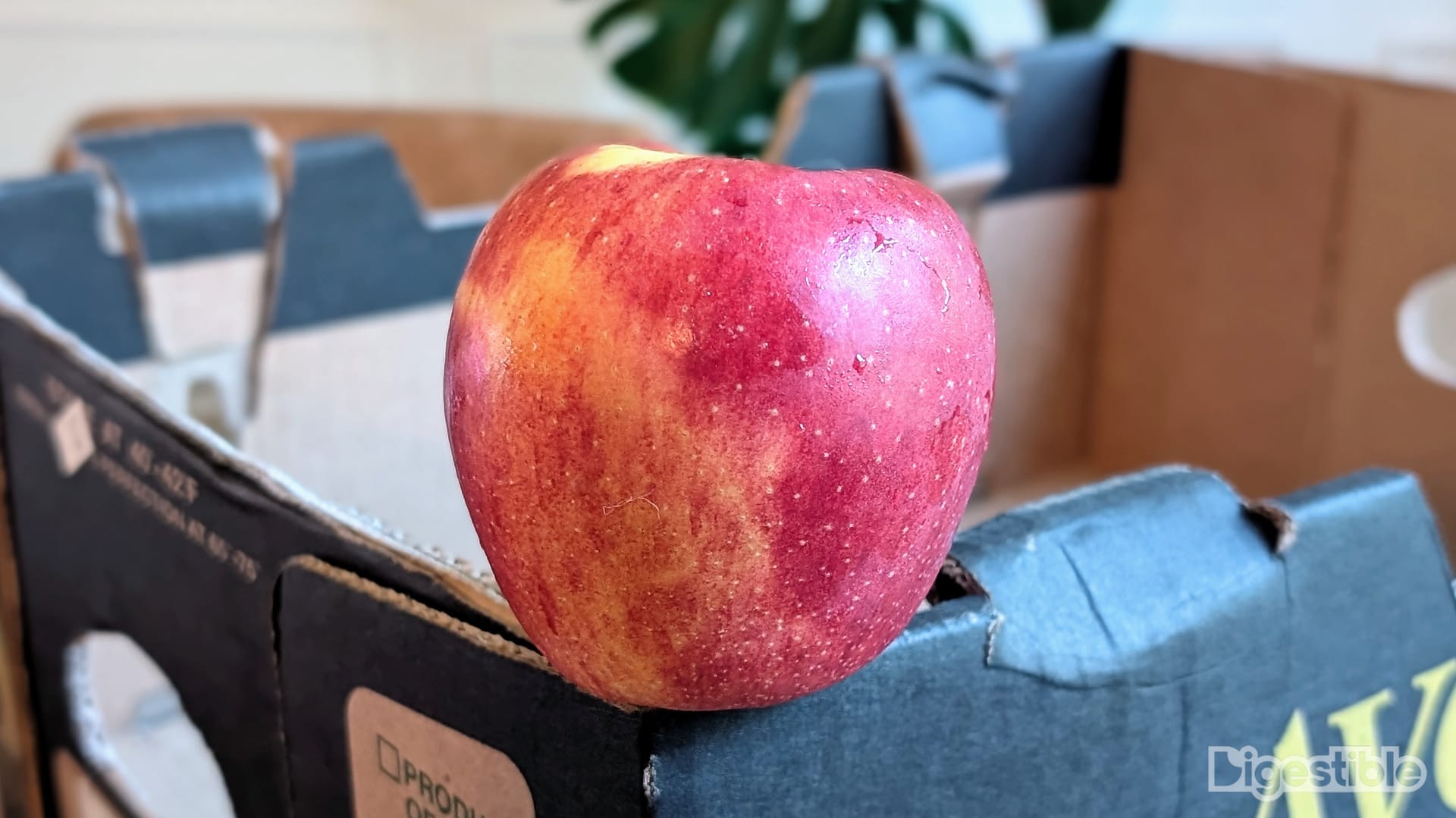 Red apple sitting on a cardboard box.