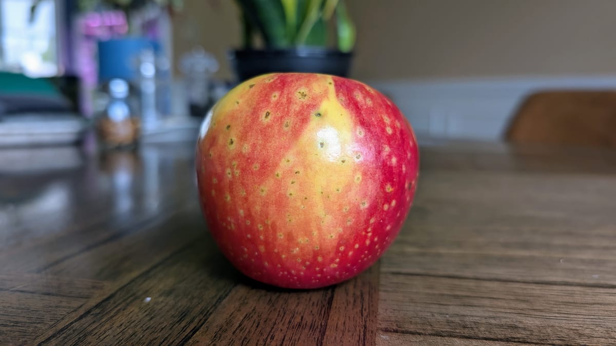 What Happens When a Honey Bee Creates a New Type of Apple?